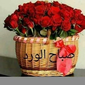 Meet your Posher, Nagy